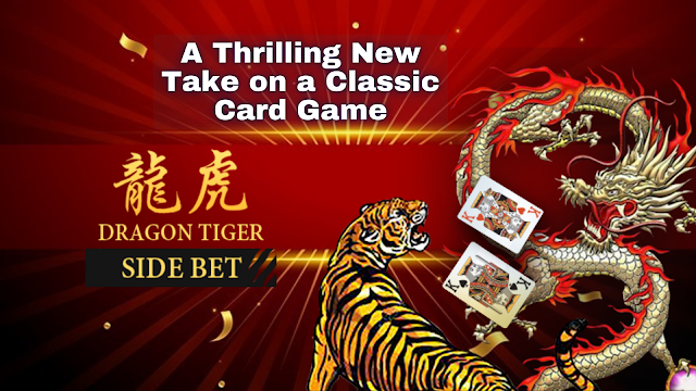 Introduce Dragon Tiger